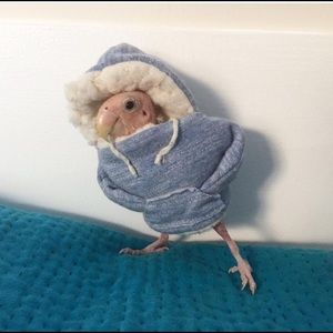 Meet your Posher, Victoria